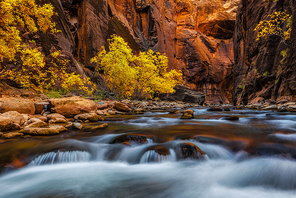 The Virgin Narrows