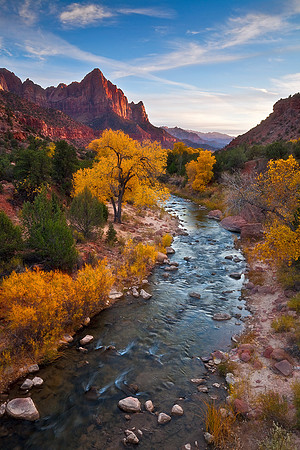 The Watchman