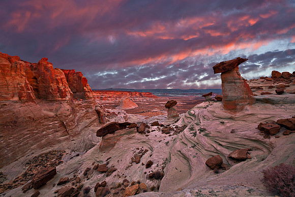 The Devil's Playground