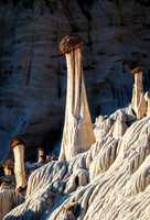 Towers Of Silence