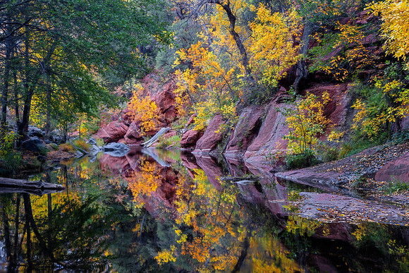 Oak Creek Mirror