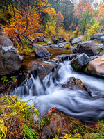 Autumn Cascade (Vertical)