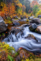 Autumn Cascade (Vertical)