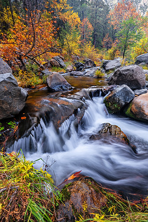 Autumn Cascade (Vertical)