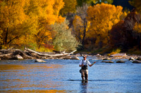 Fly Fishing The Animas