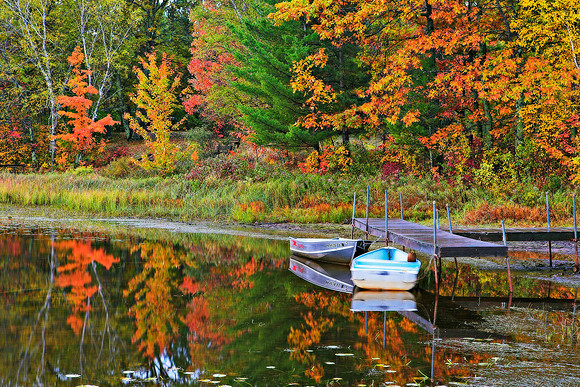 Autumn Glow