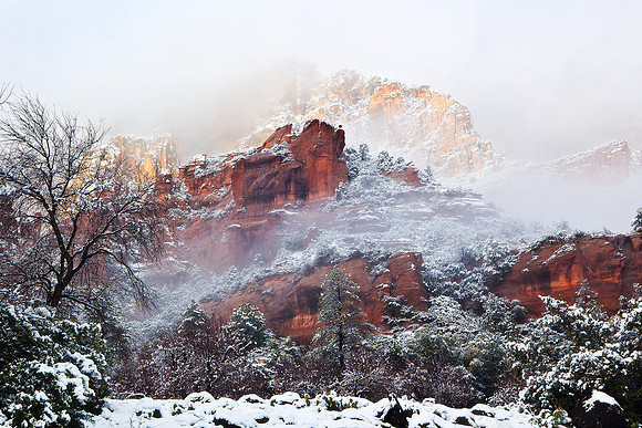 Frosted Canyon