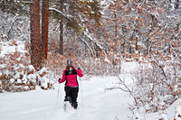 Snowshoeing The San Juan Forest