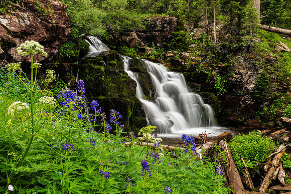 Waterfall & Wildflowers