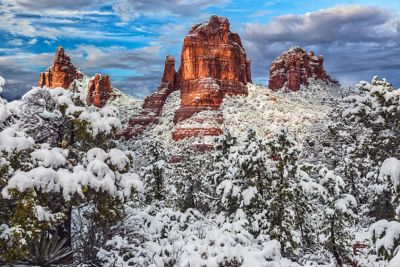 Wintry Cibola Mitten
