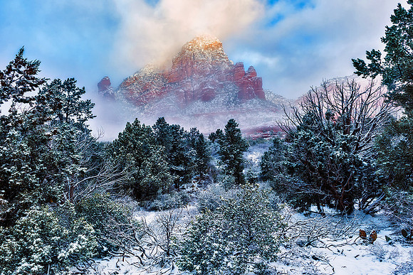 Winter's Reveal