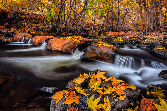 Autumn Tranquility