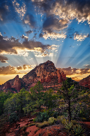 Radiance