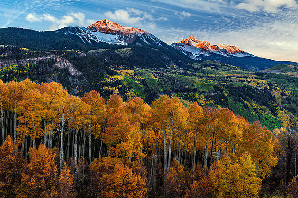 Autumn Awakening