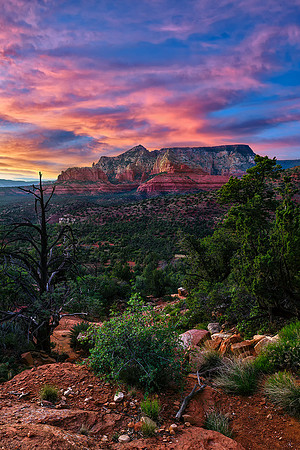 Wilson Mountain Sunset