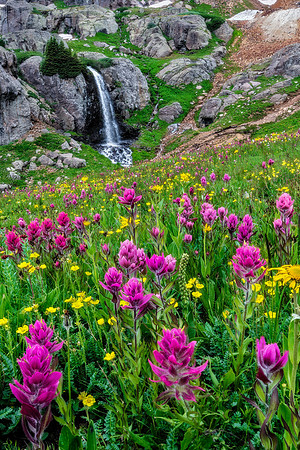 Wildflowers To Waterfalls