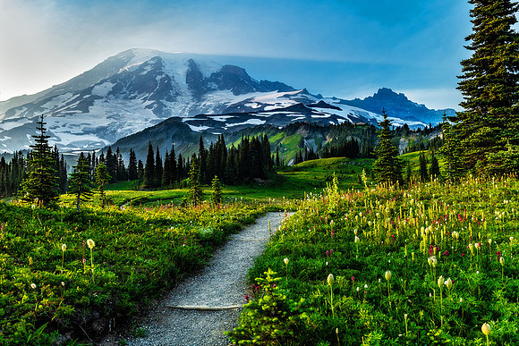 Mazama Ridge Trail
