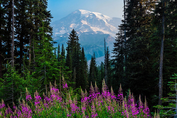 Mount Majestic