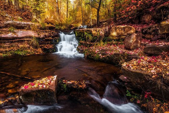 Horton Creek in Autumn