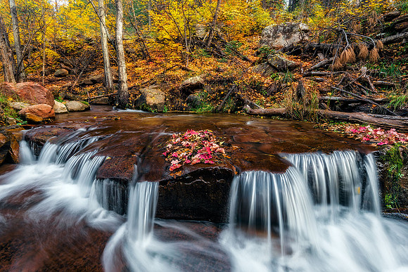 Enchanted Waters