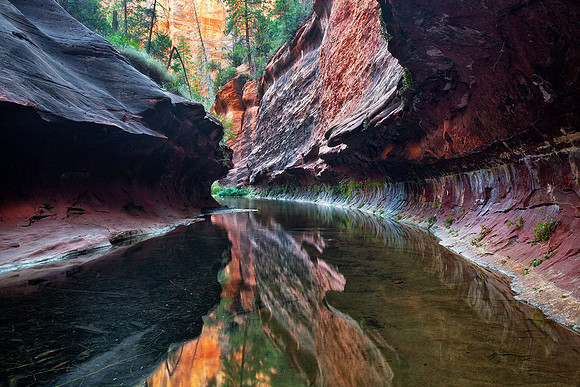 West Fork of Oak Creek
