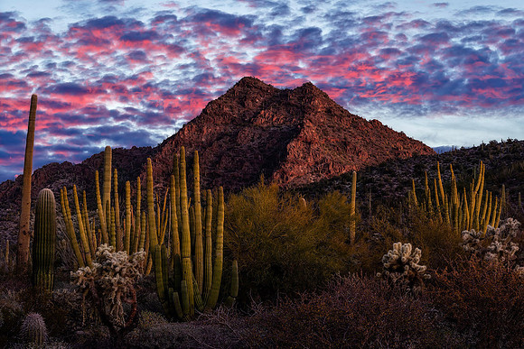 Sonoran Symphony