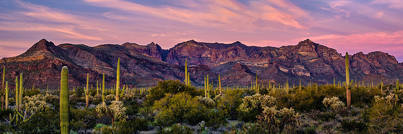Ajo Mountains Panoramic