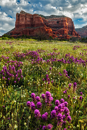 Clover and Courthouse