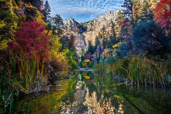 West Fork Kaleidoscope