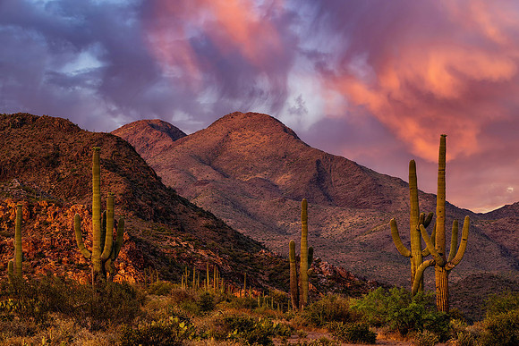 Sunset Over The Sonoran Desert