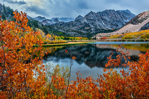 Sierra Storm