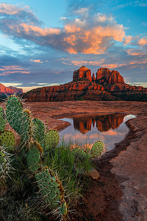 On Pins And Needles