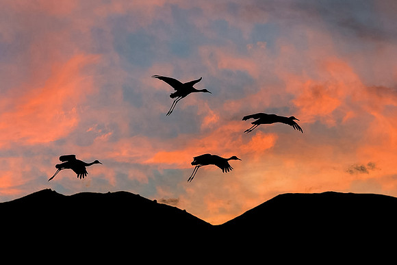 Sandhills at Sunset