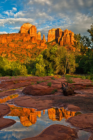 Cathedral Rock And Puddle