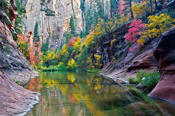 West Fork Serenity