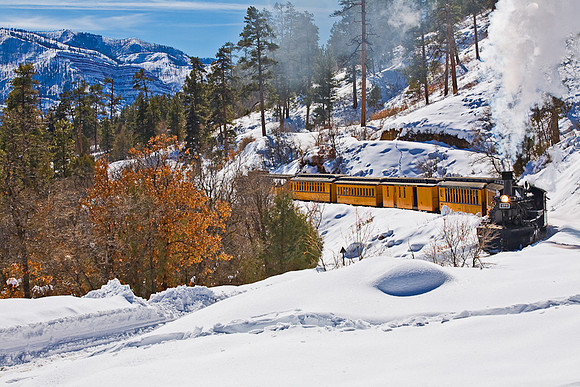 DSNG Train