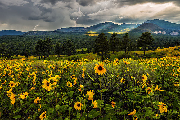 The Stormy San Francisco Peaks