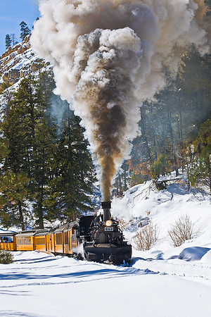 DSNG Train