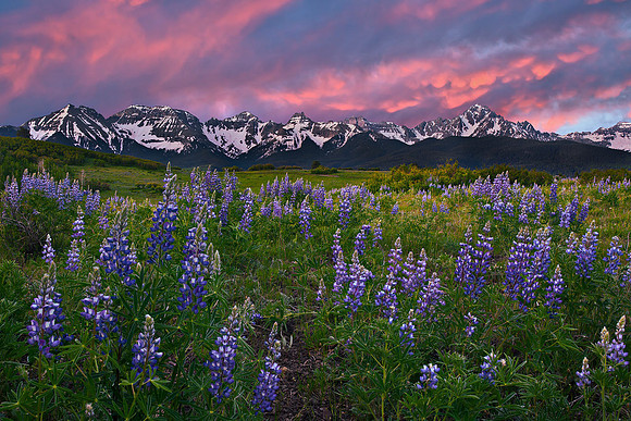 Mountain Meadow