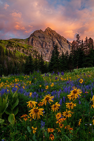 Sneffels Wilderness