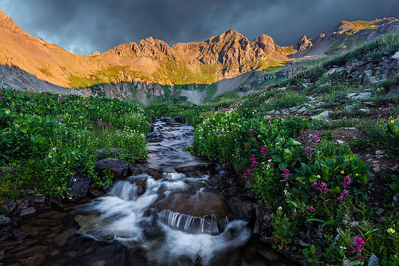 Clear Creek Wildflowers