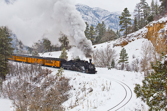 DSNG Train