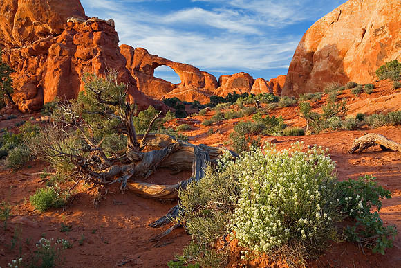 Skyline Arch