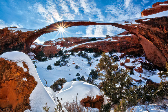 Winter's Solace