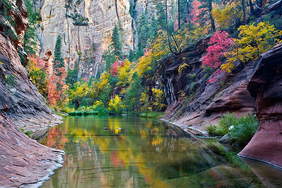 West Fork Serenity