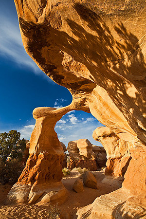 Metate Arch
