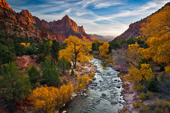 The Watchman