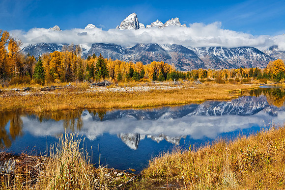 Teton Reflection