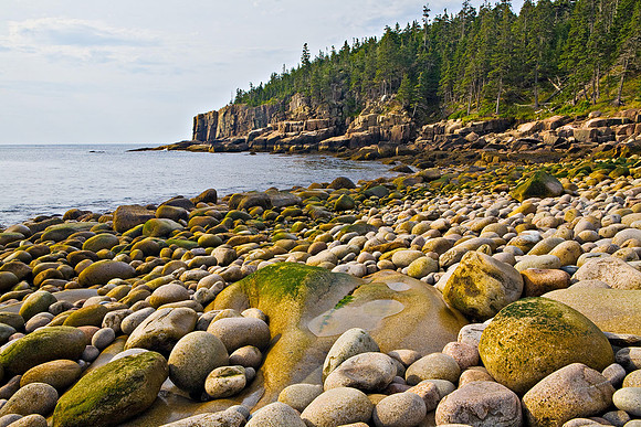 Boulder Beach and Otter Cliffs