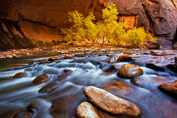 Rapids on the Virgin River